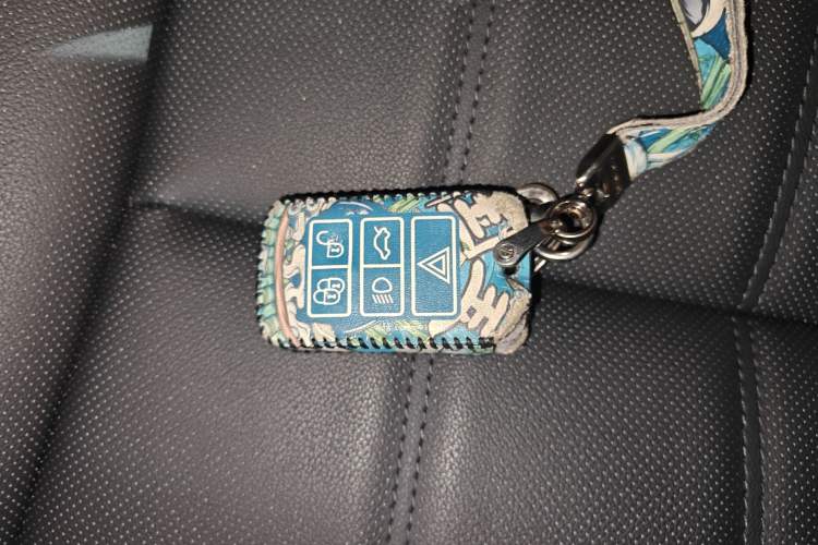 Used Land Rover Range Rover Evoque 2020 249 PS Youth Edition