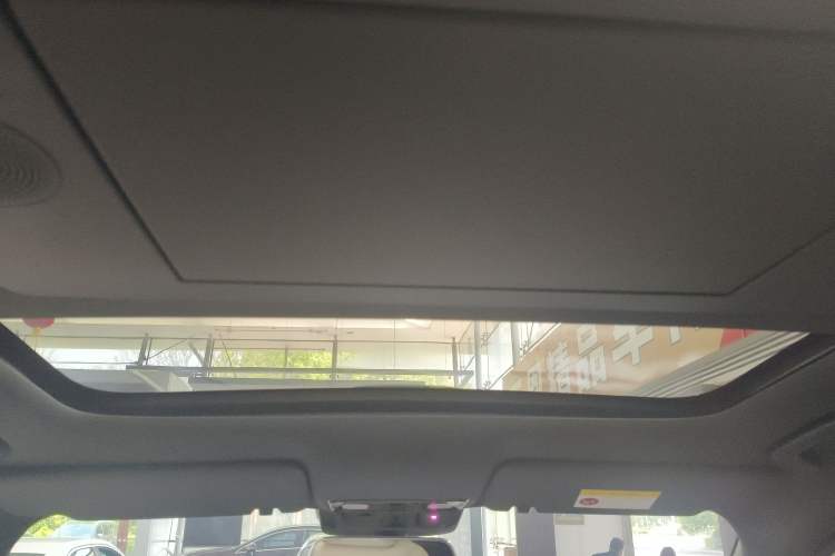 Used Li Auto L9 2024 Ultra Model Headliner