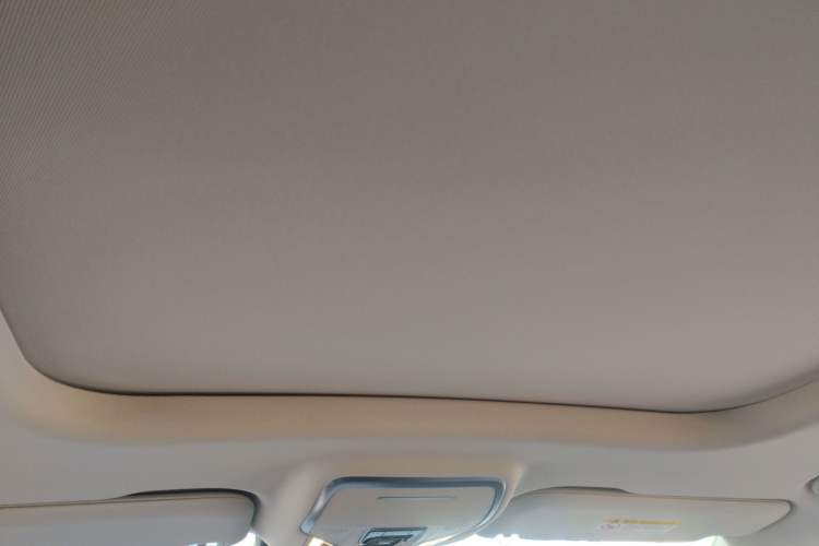 Used Hongqi HS7 PHEV 2024 2.0T PHEV Four-Wheel Drive Flagship Edition 6 Seats Headliner