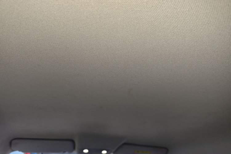 Used Leapmotor T03 2020 400 Lite Edition Headliner