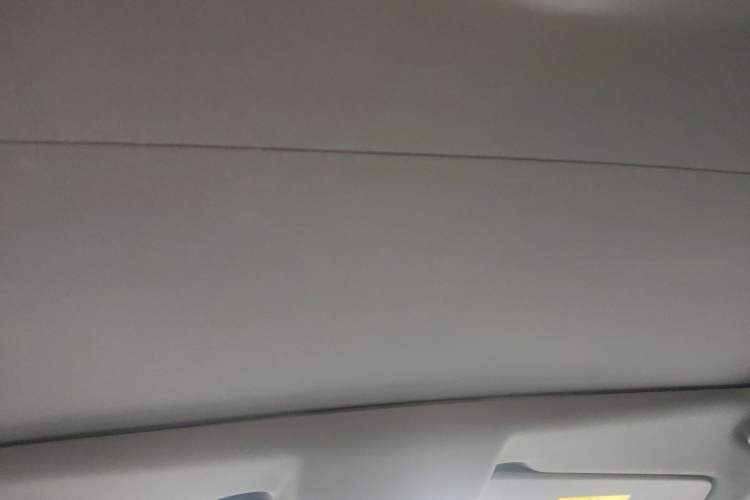 Used Land Rover Discovery Sport 2020 249 PS R-Dynamic Performance Edition Headliner