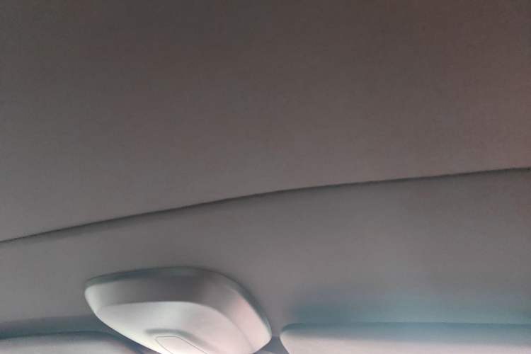 Used Porsche 718 2022 Boxster 2.0T Headliner