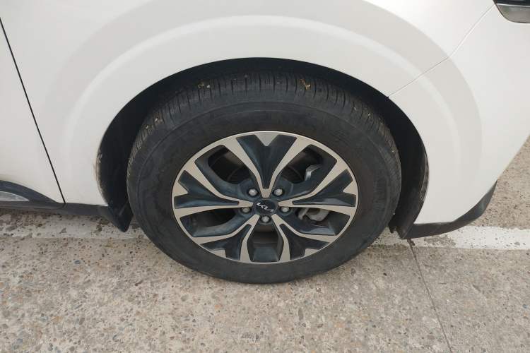 Used Kia Carnival 2021 2.0T Flagship Edition