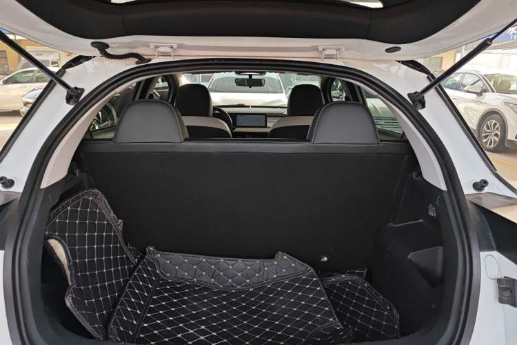 Used Geometry E Firefly 2022 401KM Lightning Tiger 4-Seater