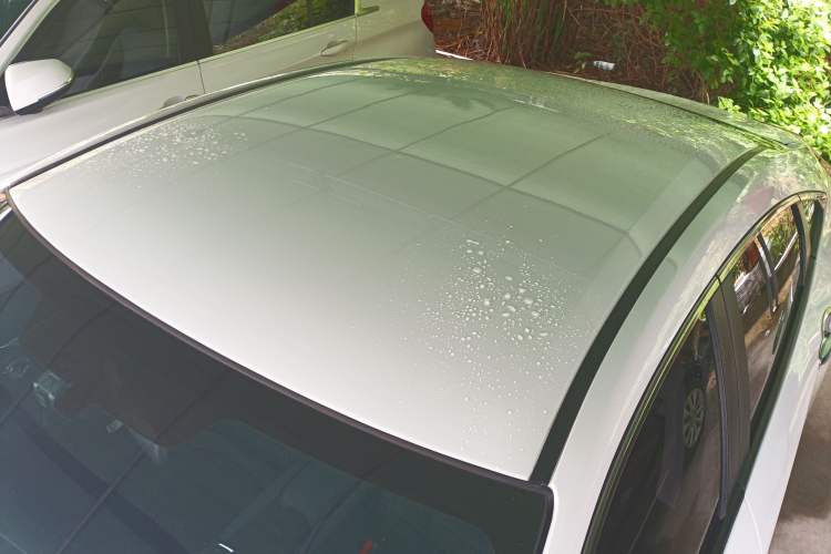 Used Honda Civic 2019 180TURBO CVT Shangyue Edition China VI Emission Standard