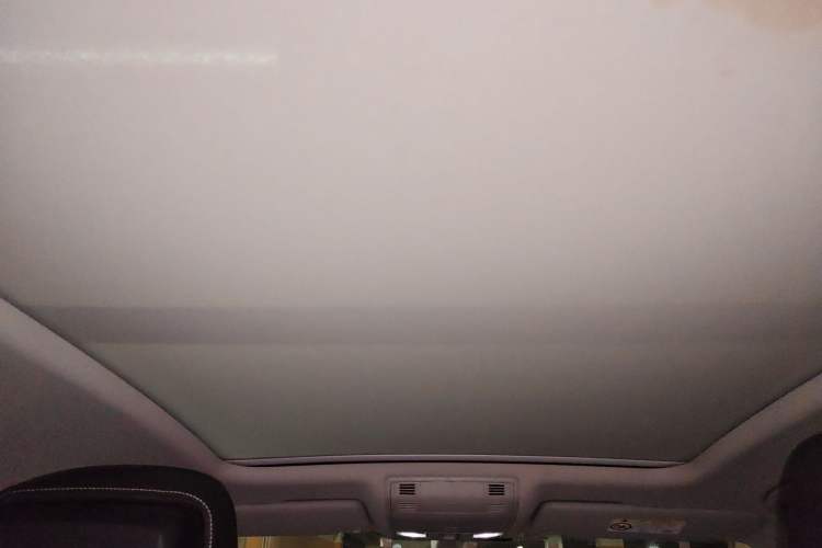 Used Volkswagen Magotan 2020 330TSI DSG Leading Model Headliner