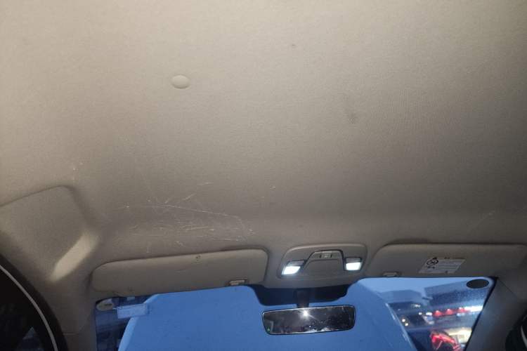 Used Livan Maple 30X 2020 Travel Edition
