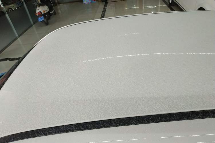 Used ORA Black Cat 2021 301 km Basic Version