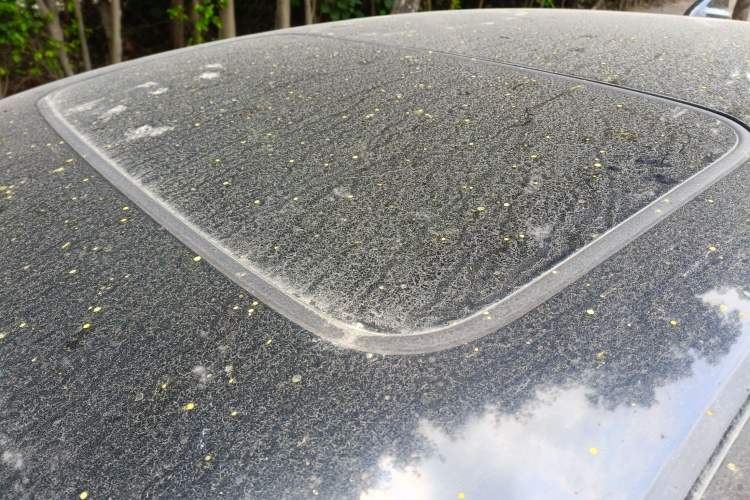 Used Honda Crider 2016 1.8L CVT Luxury Edition Roof