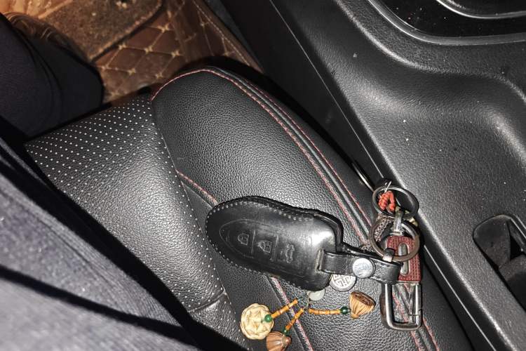 Used Leopaard CS10 2017 2.0T Manual Excellence Edition