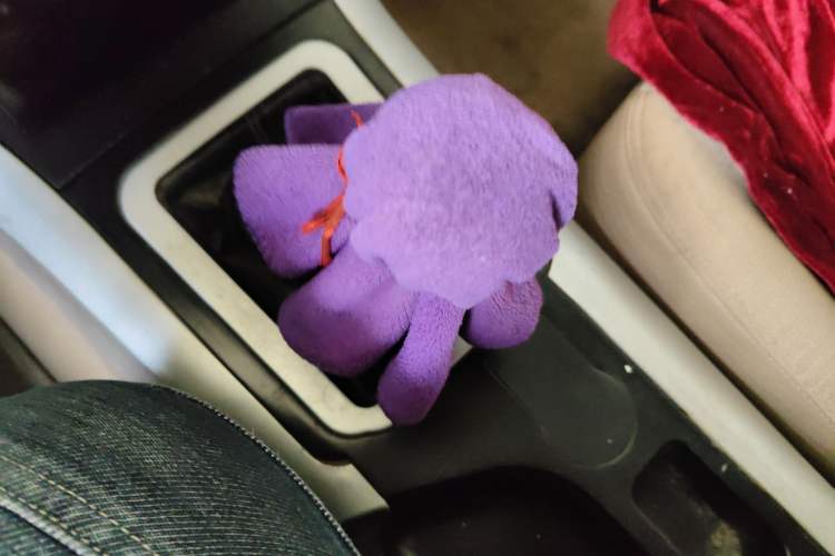 Used Huanghai Challenger SUV 2010 2.0L Two-Wheel Drive DD6490P Gear Lever