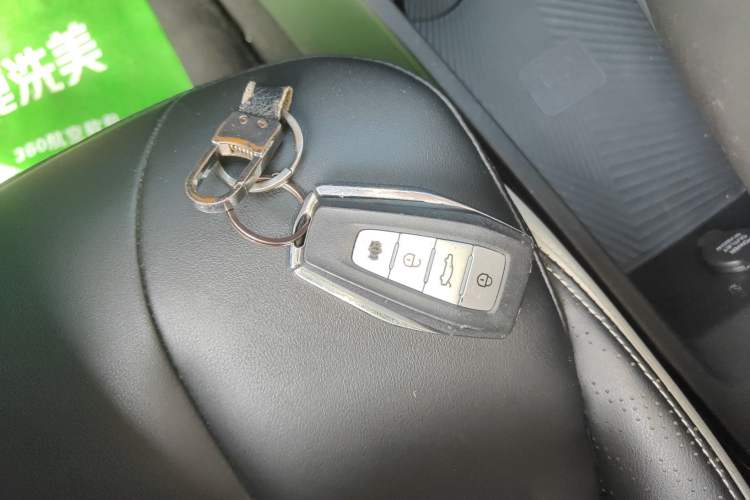 Used Geometry E Firefly 2023 401KM Linglong Tiger 5-Seater
