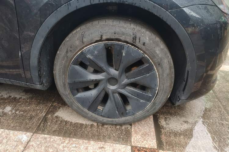 Used Tesla Model Y 2024 Rear-Wheel-Drive Version