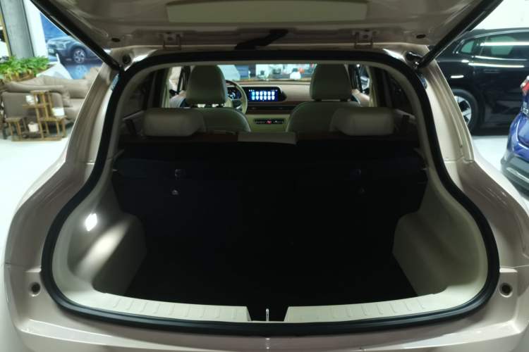 Used ORA Good Cat 2022 Morandi Edition 400km Standard Range Premium Version Lithium-Ion Battery
