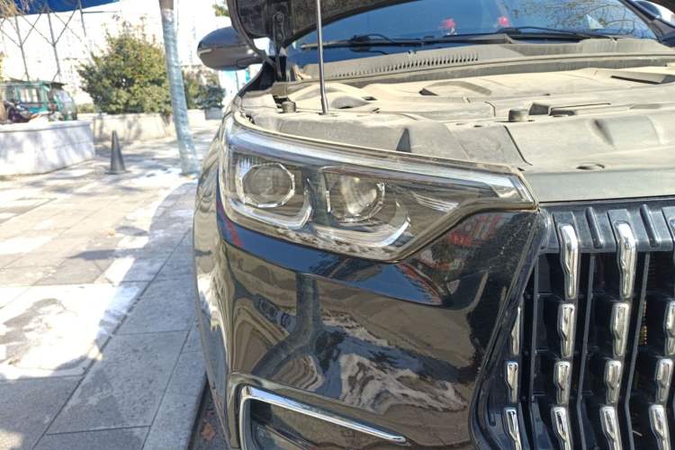 Used Leopaard Mattu 2018 1.6T GDI DCT Elite Model
