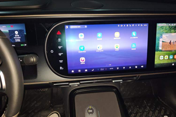 Used smart #5 2024 Jungle Realm Limited Edition