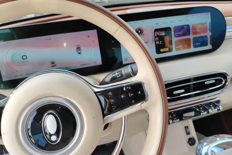 Used ORA Ballet Cat 2023 401 km Luxury Version
