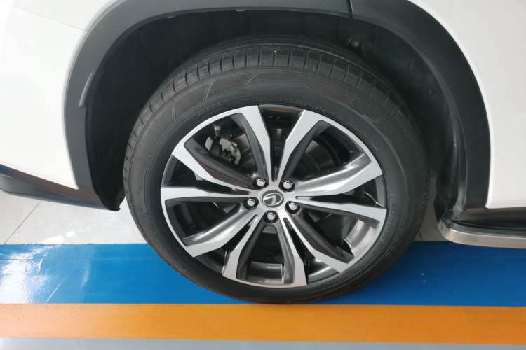 Used Lexus RX 2020 300 4x4 Elegant Edition China VI