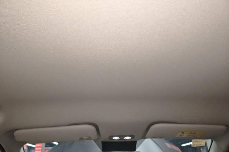 Used NETA AYA 2023 318 Lite