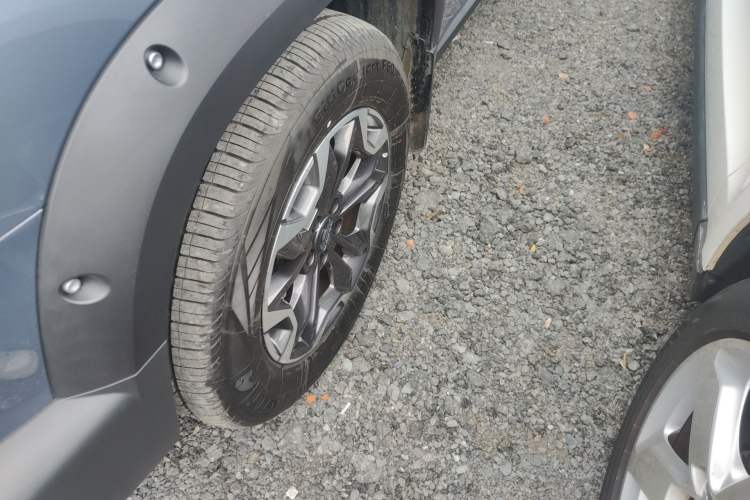 Used Haval DARGO 2024 2.0T DCT Chinese Rural Dog Edition Exterior 4