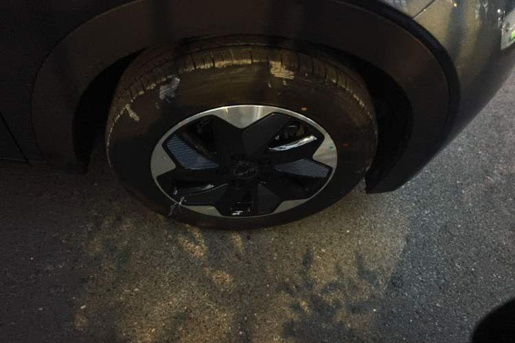 Used BYD Dolphin 2025 420km Free Edition
