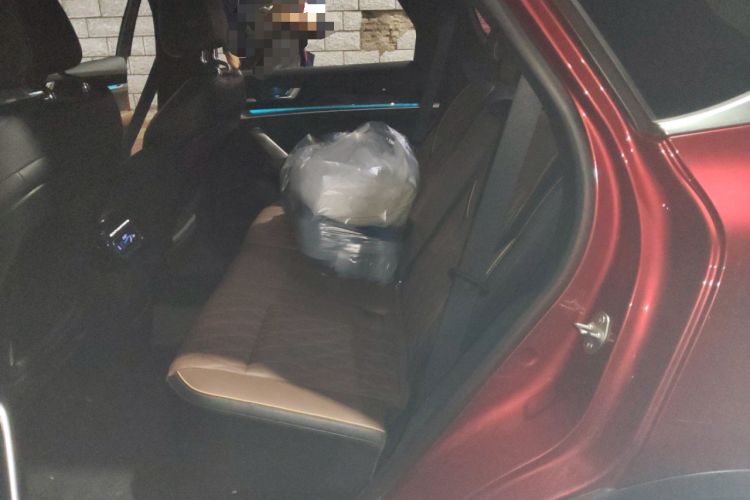 Used BYD Tang New Energy 2021 DM 2.0T Four-Wheel Drive High-Performance Flagship Model Left Rear Seat