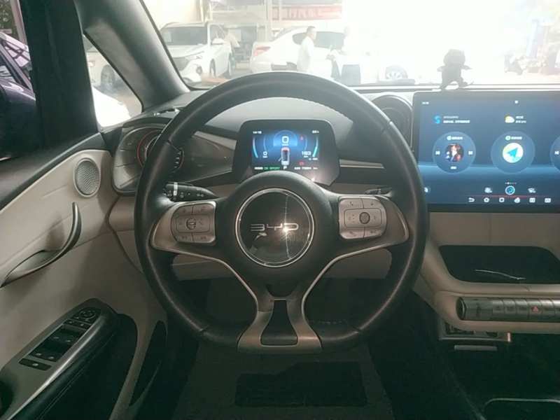 Used BYD Dolphin 2021 405 km Fashion Edition — 10