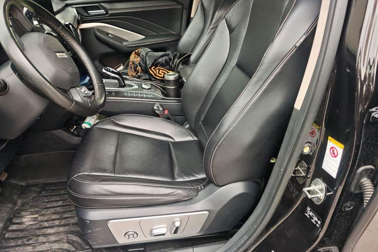 Used Wey VV6 2020 2.0T Two-Wheel Drive Smart Protection+ Left Front Seat