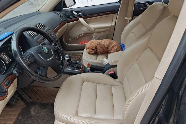 Used Skoda Octavia 2012 1.4TSI DSG Elegance Edition Left Front Seat