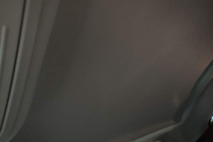 Used Ford Mustang Mach-E 2021 AION Y Plus Rear-Drive Luxury Edition (Long Range)
