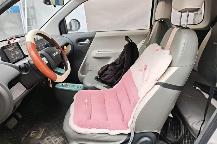 Used Qiyuan Lumin 2022 155 km – Refreshingly Sweet Edition
