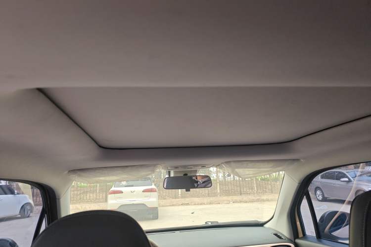 Used Leapmotor T03 2021 400 Luxury Edition Headliner