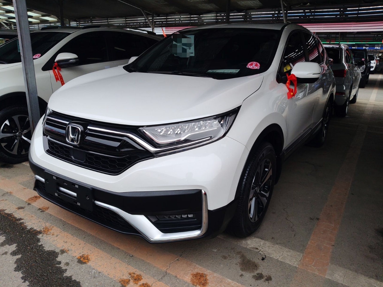 Parte inferior delantera