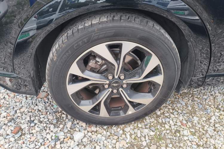 Used Ford Mustang Mach-E 2021 AION Y Plus Rear-Drive Luxury Edition (Long Range)