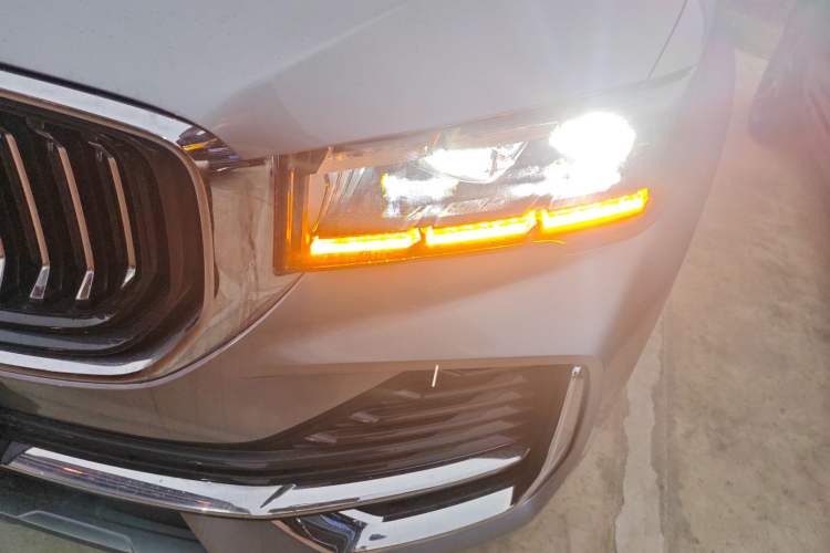 Used Geely Auto Monjaro L 2024 2.0TD High-Power Automatic Two-Wheel Drive Skyline Edition
