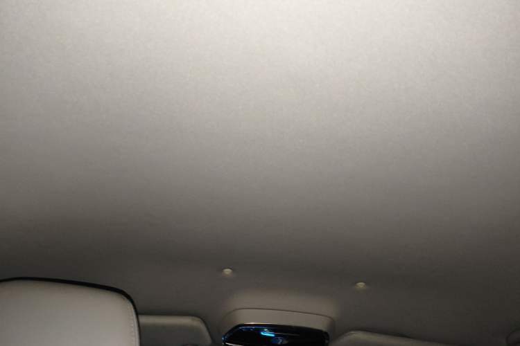 Used Denza 2018 450 Base Version