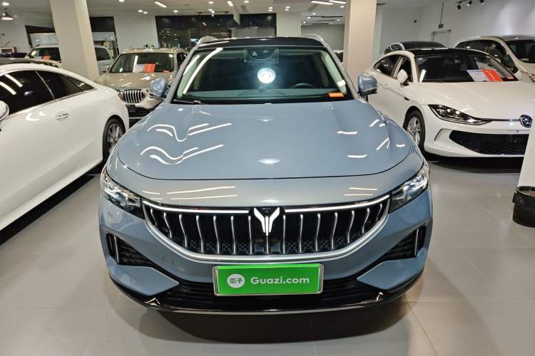 Used VOYAH FREE 2021 Four-Wheel Drive Standard Range-Extended Exclusive Luxury Package Front