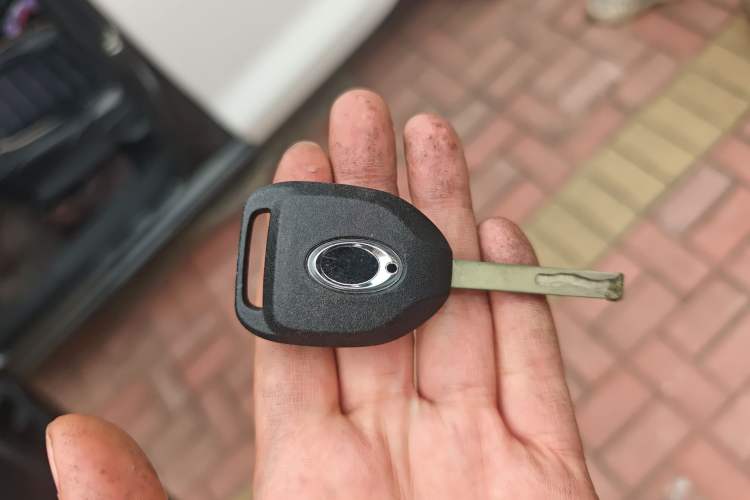 Used ORA Black Cat 2019 351 km Lingzhi Edition
