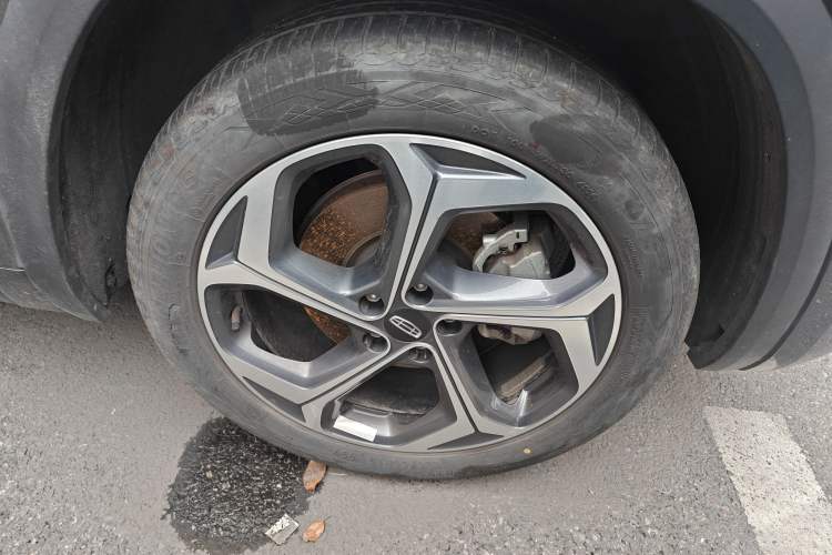 Used Geely Auto Monjaro L 2024 2.0TD DCT EVO Two-Wheel Drive Long-Range Version