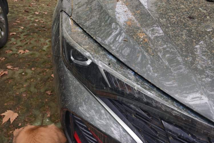 Used CHANGAN Eado 2020 PLUS Blue Whale NE 1.4T GDI DCT Fēngshàng Trim Exterior 3