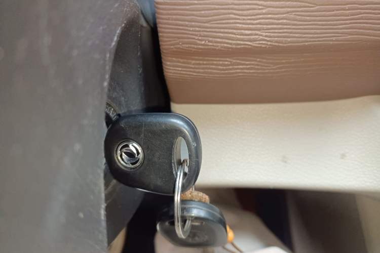 Used FORTHING Lingzhi 2020 M5L 1.6L Luxury 7-Seater
