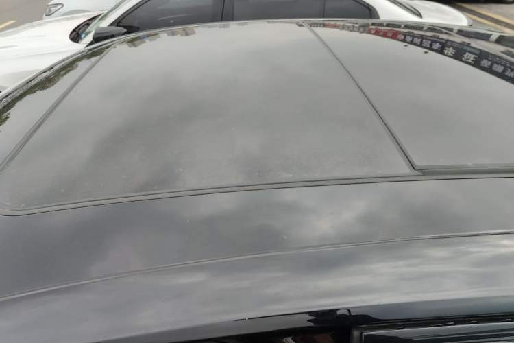 Used Hongqi H9 2024 2.0T Qichang Private Enjoyment Luxury Edition
