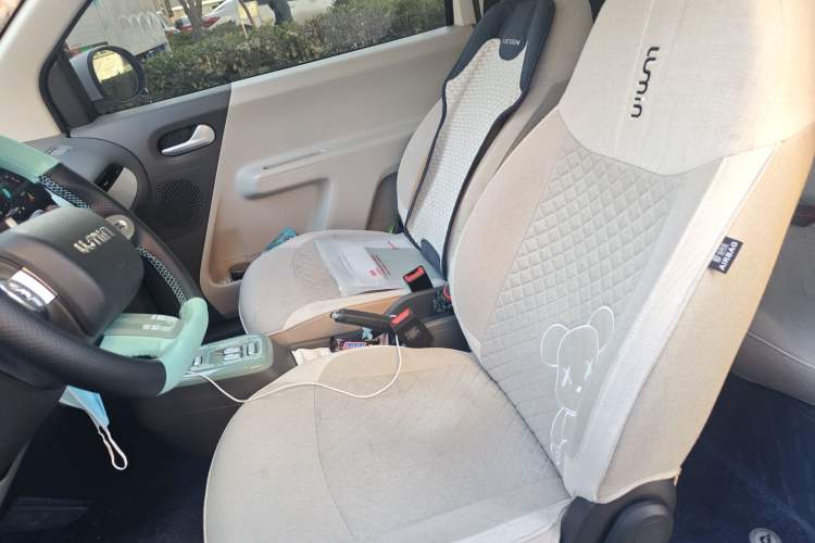 Used Qiyuan Lumin 2023 205km Xiangqin Version
