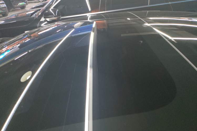 Used Tesla Model 3 2022 Rear-Wheel-Drive Version Roof