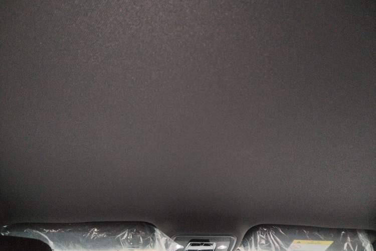 Used BYD Seagull 2025 Model Smart Drive Version 405km Free-Spirited Version Headliner