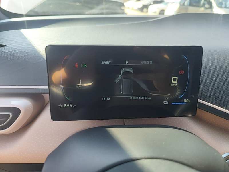 Used BYD Seagull 2023 Free Edition — 11