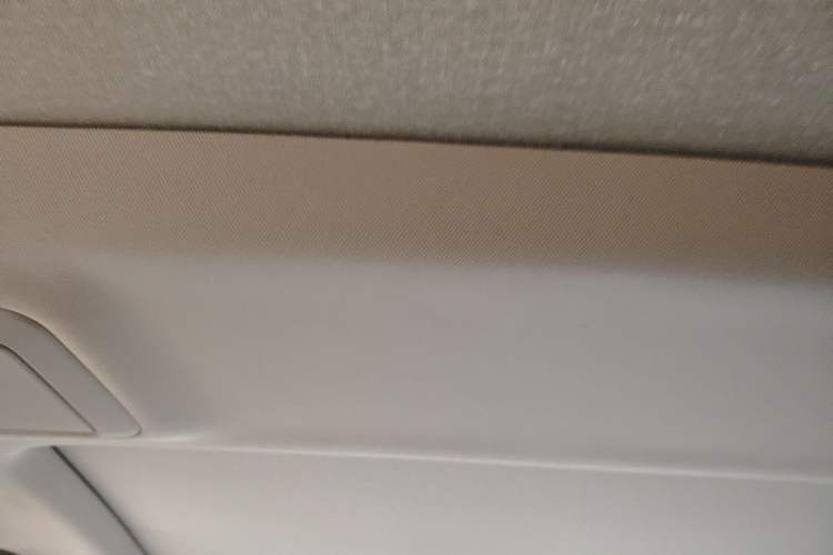 Used BMW 5 Series 2019 Facelifted 530Li Leading Edition Luxury Package Headliner