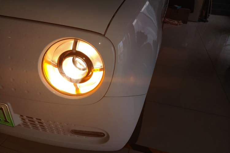 Used ORA Black Cat 2021 351 km Luxury Version
