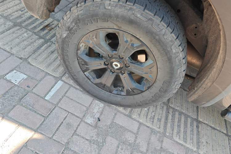 Used Great Wall Poer 2021 2.0T Off-Road Version Automatic Diesel 4x4 Mount Everest Edition GW4D20M
