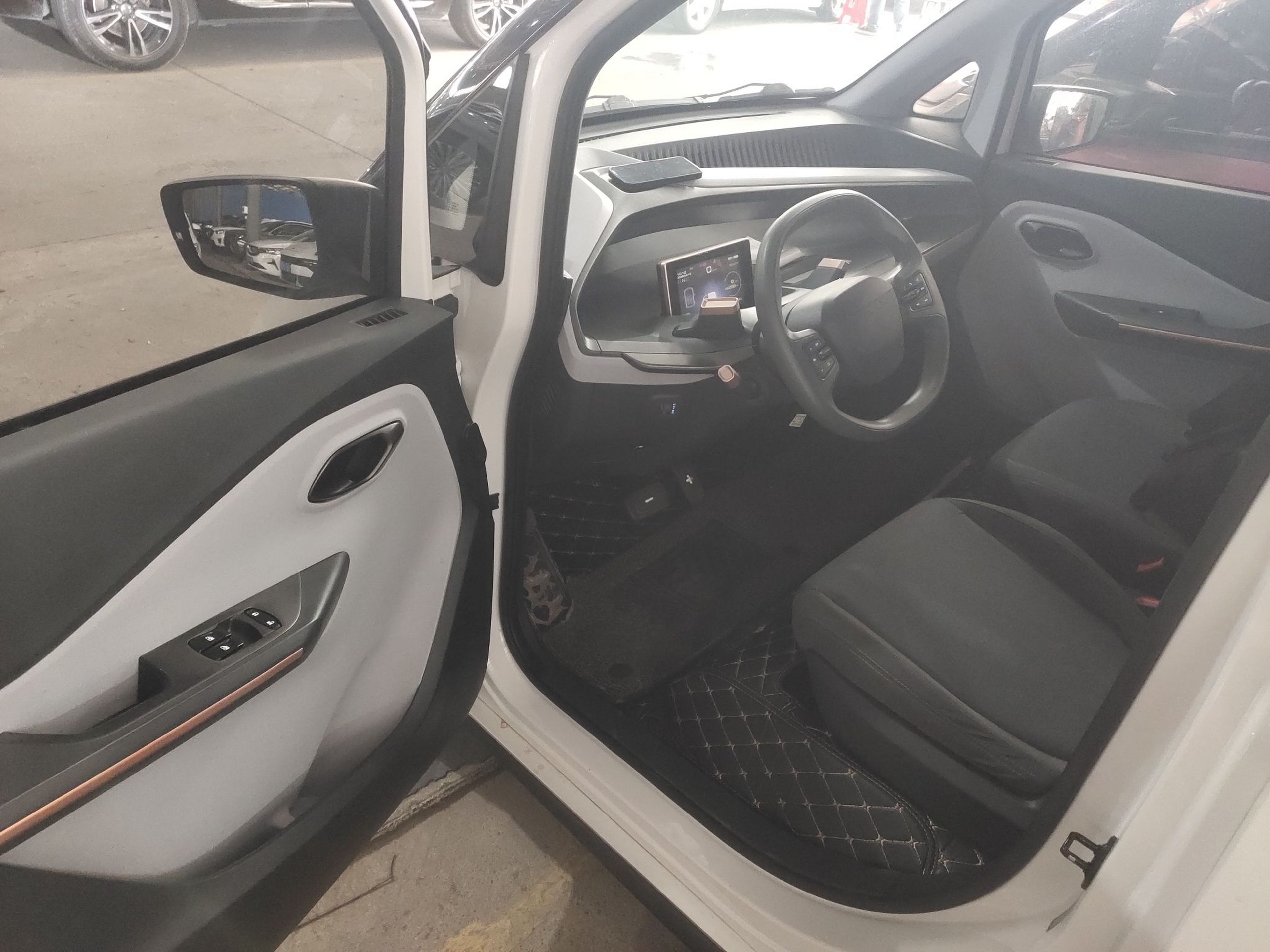 Interior delantero